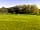 Pet Rescue Fundraising Campsite