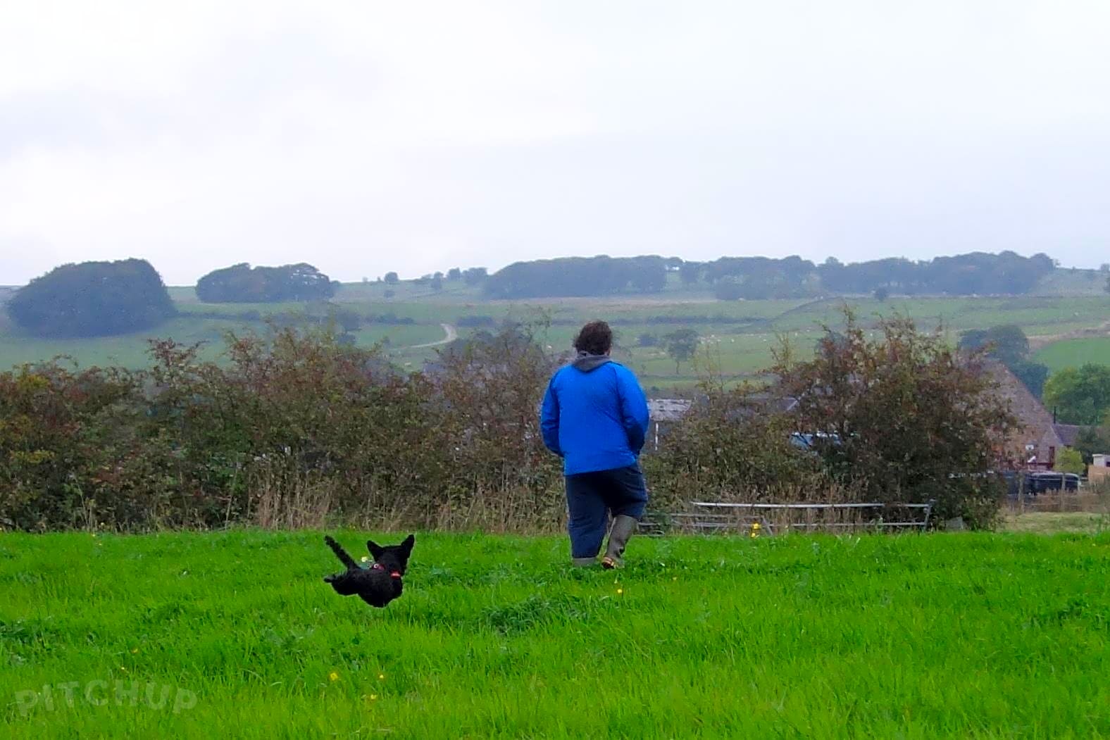 Beaver Hall Equestrian Centre, Leek Pitchup®