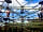 Holme Pierrepont Country Park: Skyline (photo added by  on 08/20/2018)