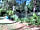 The Firs Fishery and Campsite: Lake for fishing