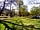 Denny Wood: Sunny and shaded spots