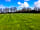 Blakes Keiro Caravan Site: Grass pitches surrounded by trees