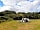 Cosmos Camping: Guests on site