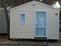 Bungalow Boogie