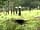 Setmabanning Caravan Park