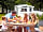 Thorness Bay Holiday Park: Fish n Chippery