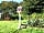 Cadora Woods Glamping: Veg patch and hangar