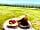 Shay Gate Farm: Shay Gate Farm