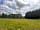 Sunrise Hill Campsite: A peaceful corner (photo added by manager on 07/08/2023)