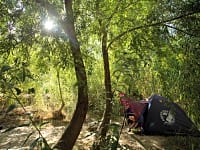 Pitch under willow trees and Bambu Pitch under willow trees and Bambu