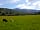 Fronalchen Caravan Park
