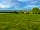 Offa's Dyke Farm Campsite