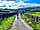 Grassington Campsite