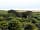 Bosavern Community Farm: View about 200 yards from the farm (across the road)