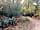 Setthorns Campsite: Trail leading to the pitches