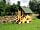 Drybeck Farm: Compost toilet