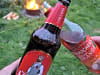 Moss Side Farm Campsite: Cheers! (photo added by liz_t164444 on 09/17/2024)