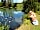 Carlton Meres Holiday Park: Feeding the ducks and geese (photo added by manager)