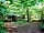 Dapplewood Caravan Site