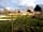 Canadian Fields: Around the site