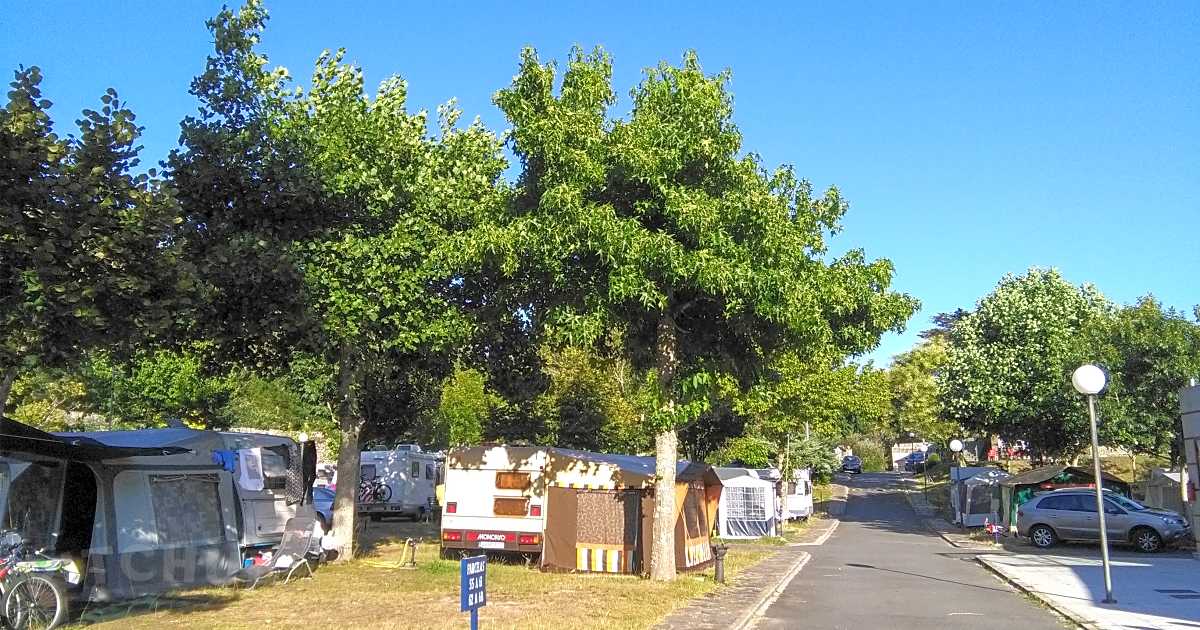 Camping San Francisco, Louro