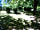 Camping Le Nid du Parc: Grassy pitches