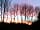 Mayfield Park: Sunset