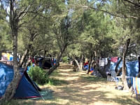 Parcel·la de gespa amb electricitat opcional per a tenda de campanya o per a remolc tenda