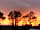 Olive Tree Caravan and Camping Park