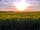 Rowbury Farm Camping: Evening view