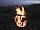 Panorama Glamping Visole: Firepit (photo added by manager on 15/11/2018)