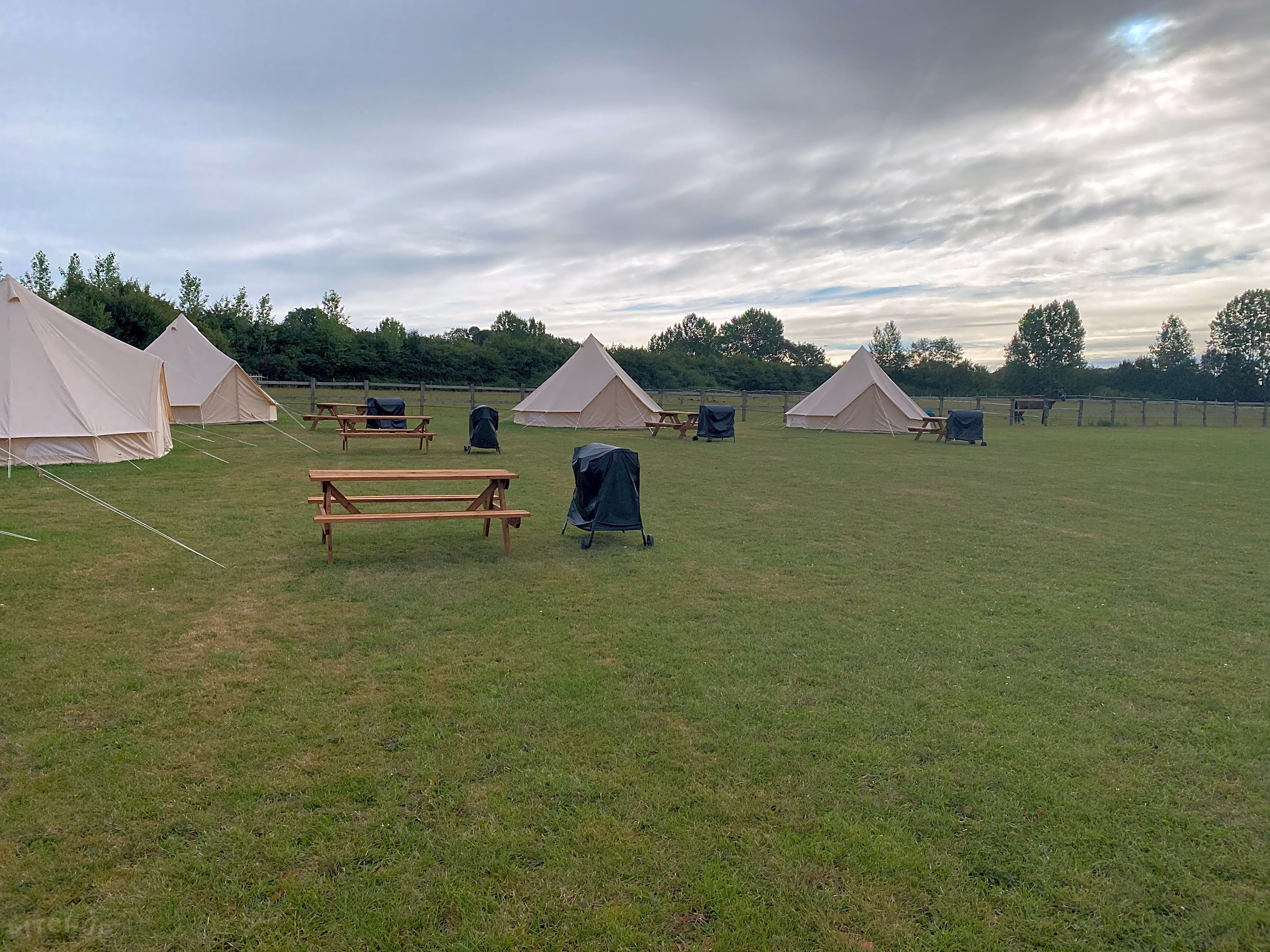 Marwell Activity Centre, Owslebury Updated 2020 prices Pitchup®