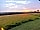 South Town Farm: View from our pitch