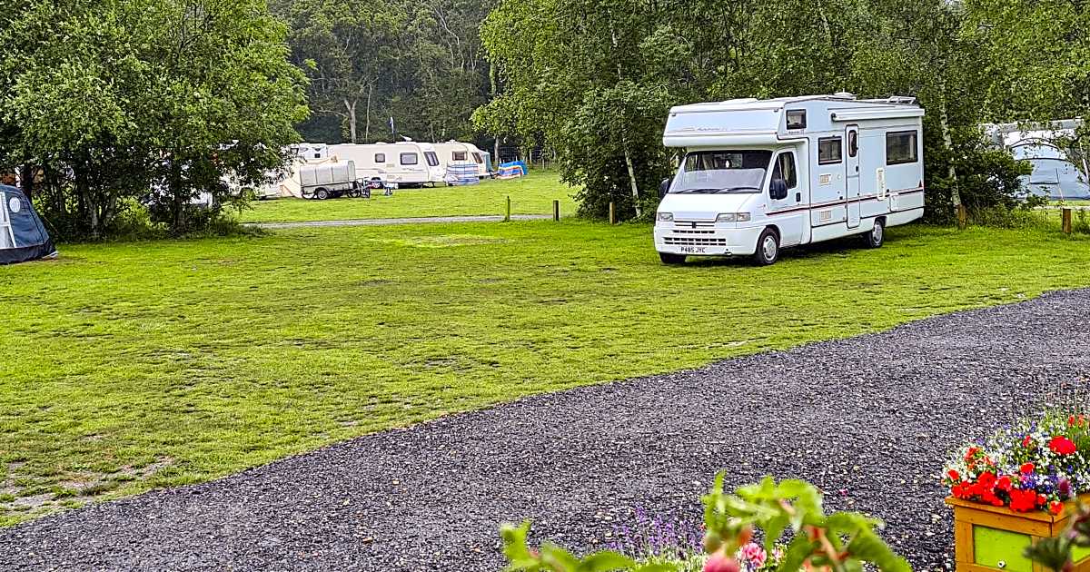 Luckford Wood Caravan and Camping, Wareham Updated 2024 prices