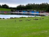 Holme Pierrepont Country Park (photo ajoutée le 1 sept. 2025)