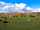 Primrose Cottage Camping