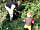 Bakesdown Farm: Autumn entertainment, plenty of space to explore