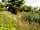 Wood Farm Holiday Park: Fishing hut