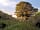Chettle Campsite