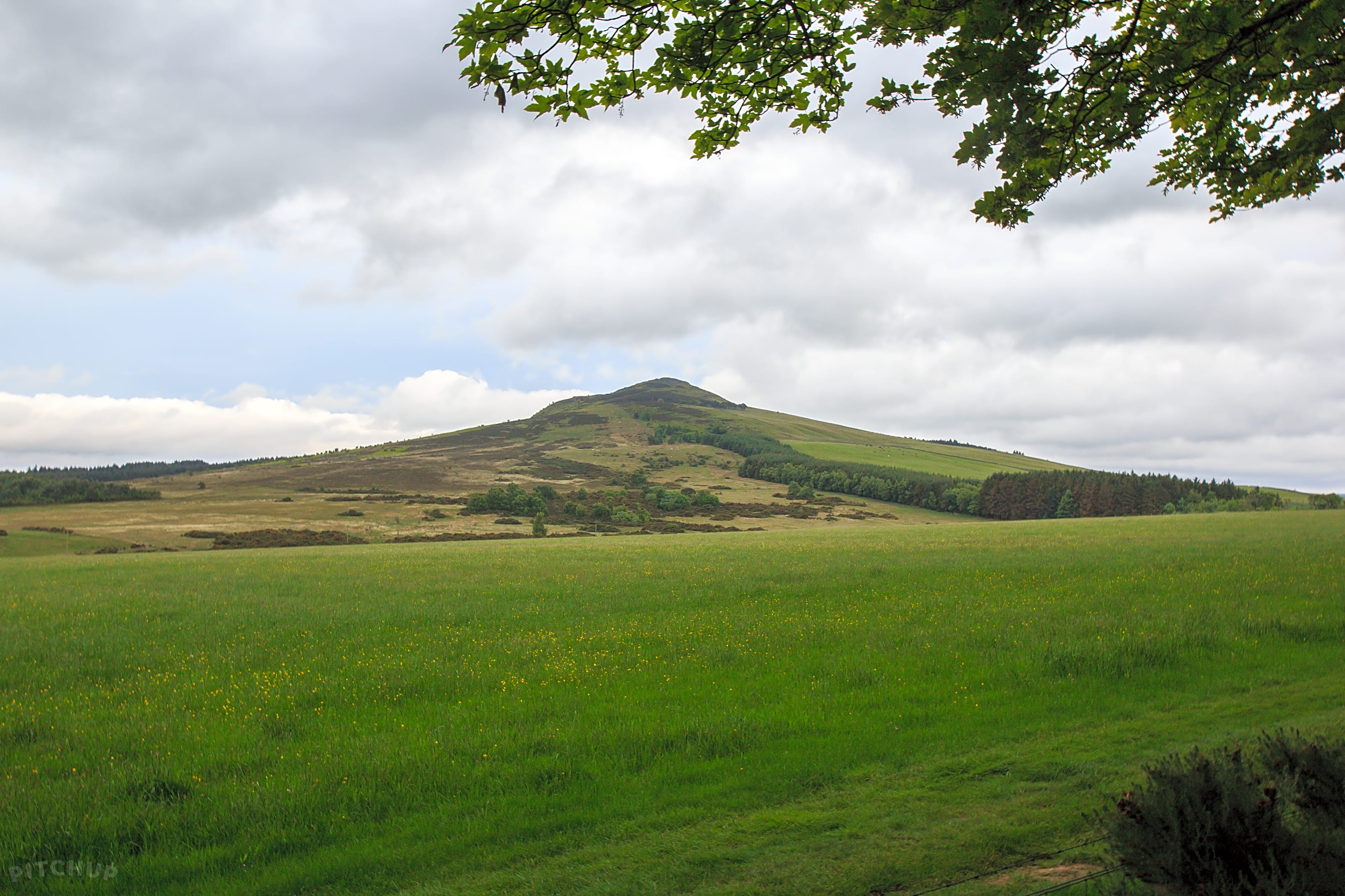 Ruberslaw Wild Woods Camping Hawick Updated 2019 Prices