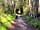 Sindles Farm: Lovely footpaths and bridleways all around (photo added by manager on 15/05/2022)