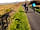 Tarka Trail Camping: Cycling on the Tarka Trail