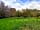Five Wyches Farm Camping: Secluded pitch perfect for single tents and couples (photo added by manager on 29/11/2023)