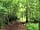 Glamping Lane End: Woodland Path