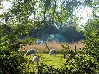 Emplacement camping-car sur herbe sans électricité