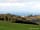 Mullacott Farm: Lush
