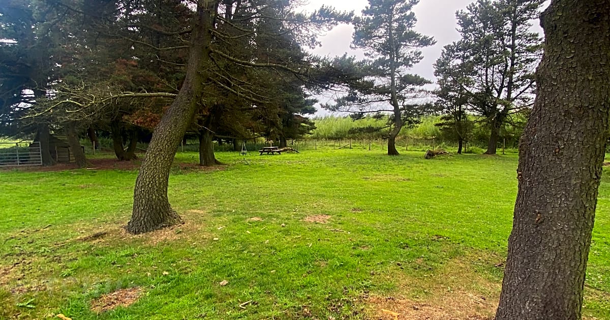 High Paradise Farm, Thirsk Updated 2021 prices Pitchup®