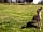 Fox’s Furrow