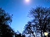 The High Hermitage Holiday Park: Clear night sky (photo added on 04/15/2024)
