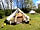 Crake Valley Holiday Park: Bell tents
